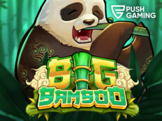 Springbok casino bonus codes 202348